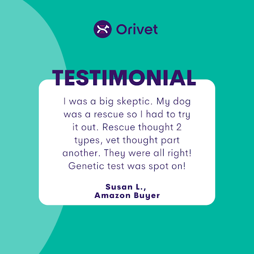 Discover why dog owners across the globe are raving about Orivet! 🐶 Our Geno Pet products are the ultimate and pet-friendly solution for testing your furry friends. Don't believe us? Take a look at their testimonials! ⭐️ Shop here: bit.ly/3qqxMBG #orivet #dogdna