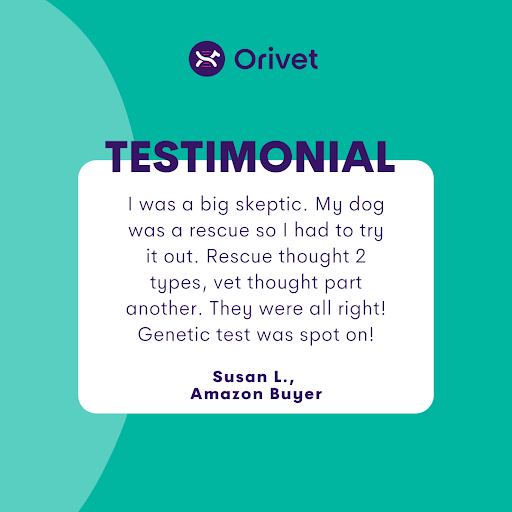 OrivetGenetics's tweet photo. Discover why dog owners across the globe are raving about Orivet! 🐶 Our Geno Pet products are the ultimate and pet-friendly solution for testing your furry friends. Don't believe us? Take a look at their testimonials! ⭐️

Shop here: https://t.co/MCTw6ofCOD

#orivet #dogdna https://t.co/WWaUnPS6vN