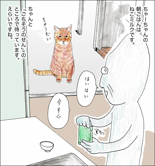 や、どうも。 なんか、かんだんのサがはげしいね。 さて、キャツミャウブクッスの「おぷうのきょうだいフェアー」は12がつ10にちまでだよ。 きちょうなげんがや、げんていグッズや、にんぎょうがあるよ。らいじょうとくてんもあるよ。 ぜひおこしください。