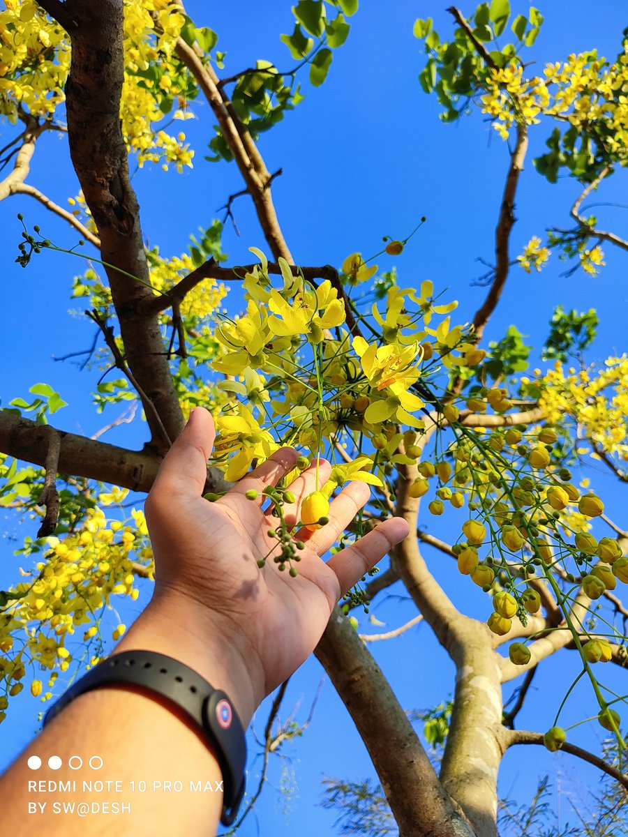 swadesh93's tweet photo. My Day 44 Submission For #75Days75Pics Challenge
#PhotoWithAbhi
@Huilgol
 😍
Day 1 to 43 Completed 🙂

Shot on #RedmiNote10ProMax Powered By Snapdragon 732G
#ShotOnSnapdragon #Xiaomi @Snapdragon @Snapdragon_IN #SnapdragonInsiders https://t.co/xz7bjdP4Qr