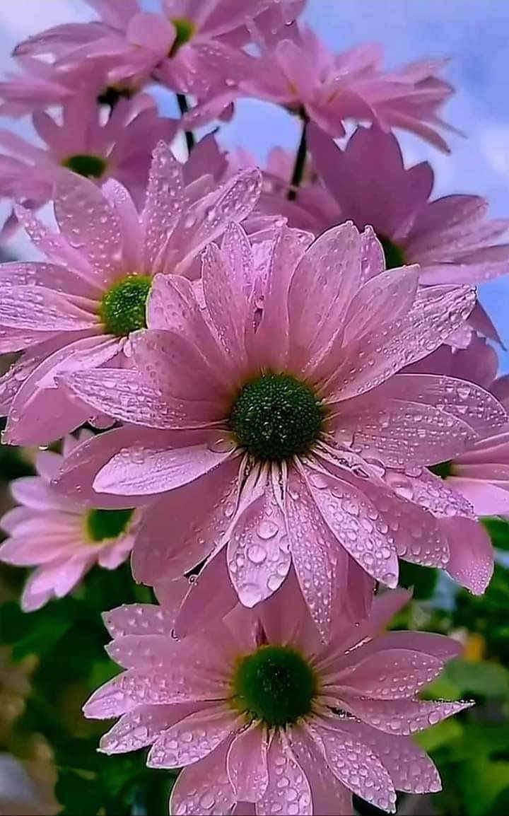 Erem1997's tweet photo. أجمل الكلام .. 
"اللهم كُن لأمنياتي مُجيبا ، ولضعفي سنداً ، ولإنكساري جابراً"
 ♥️💙صباح التفااااؤل

#صباح_الخير
#ابوعبيده
#نرفض_ممر_اسرائيل 
#يحيى_السنوار 
#صباحيات https://t.co/5zTgk6W5q8
