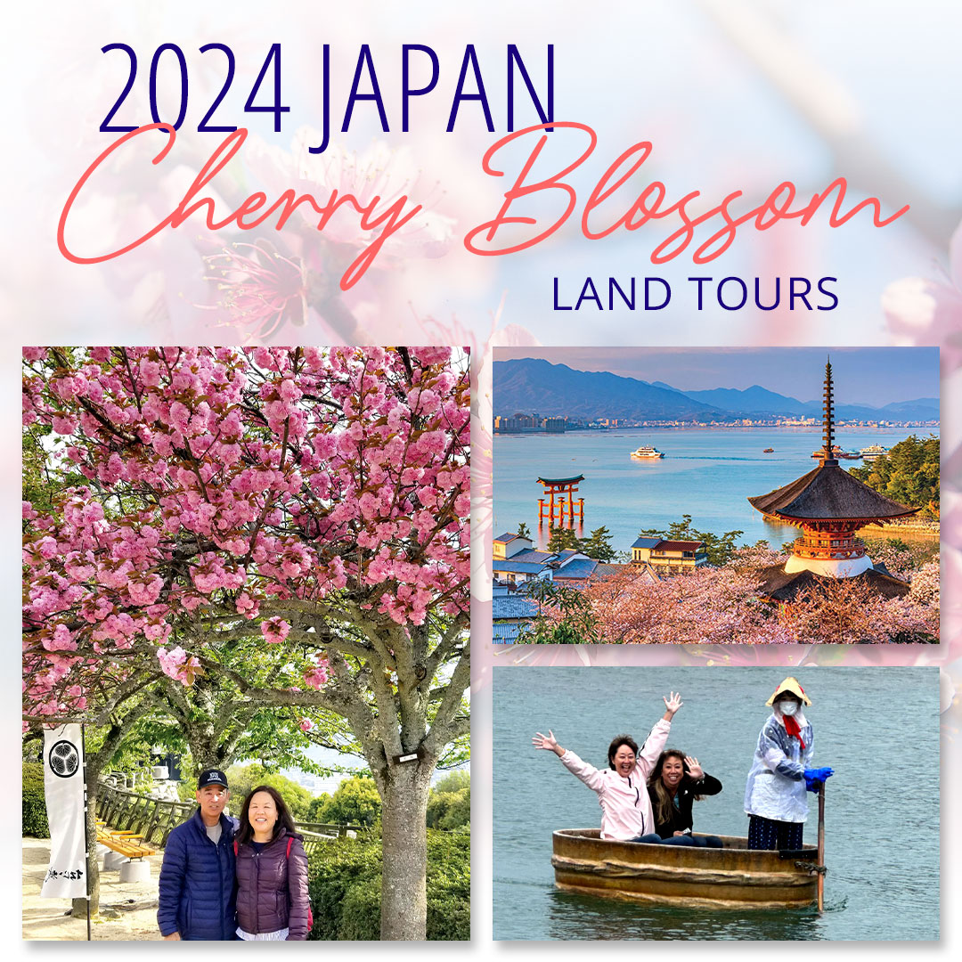 NSTHAWAII's tweet image. 🌸 Explore Japan's 2024 cherry blossoms with our curated tours, blending nature's beauty and cultural richness. Limited seats available – secure yours from $3588* per person!

Book now at bit.ly/JapanSakuraTou…

#CherryBlossom2024 #JapanTravel #NonStopTravel