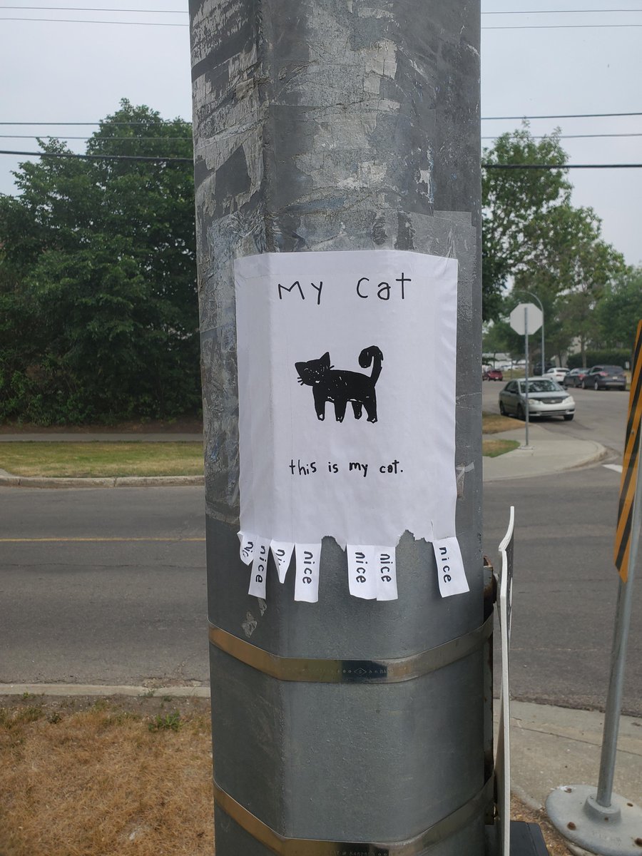 nswfire's tweet photo. @autoday @nswpolice Breaking feline news 
The Granville @nswpolice release pictures of the missing cat around Sydney's Cumberland area 
#nswpol https://t.co/S1997DiNUl