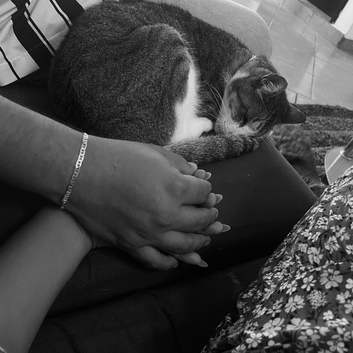 Hoy fue si primer día con tribi y se amaron 🤍🥰