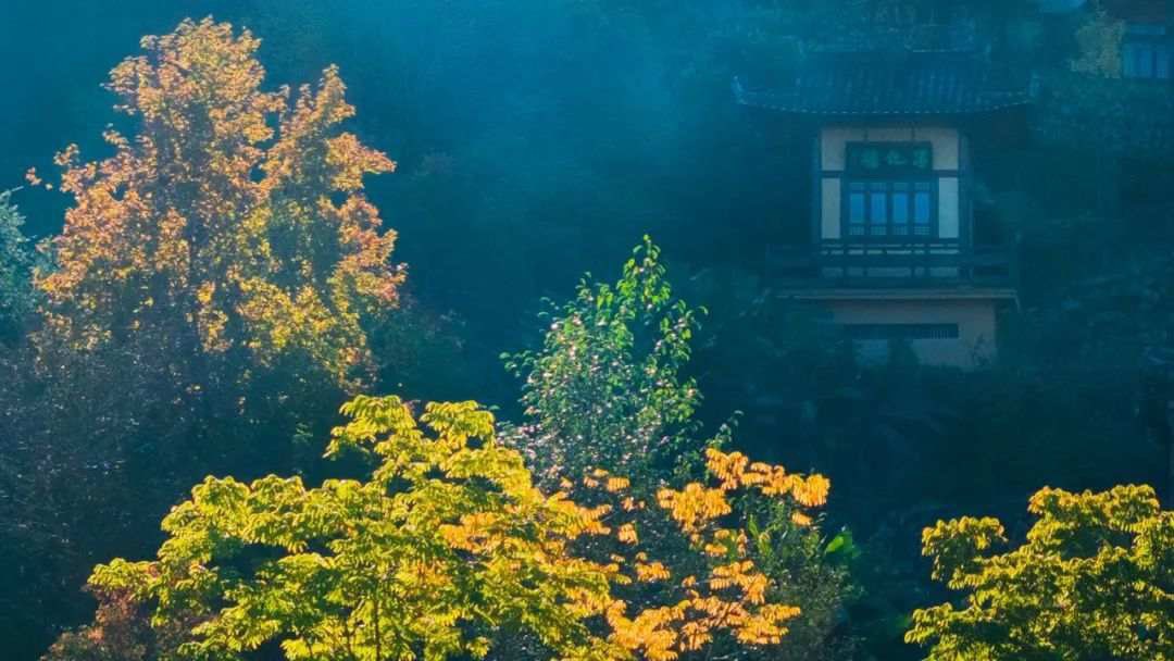 chinashexiang's tweet image. 秋日美景：景宁东弄 #Autumn #ForestFun