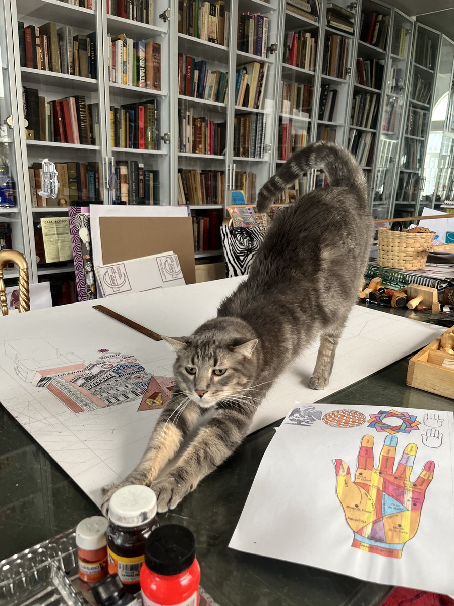 Netflix, el gato de #PedroFriedeberg te invita a ver el documental de Liora Spilk (<a href="/liololo/">Liora Spilk</a>) sobre el artista, ahora disponible en <a href="/NetflixLAT/">Netflix Latinoamérica</a>