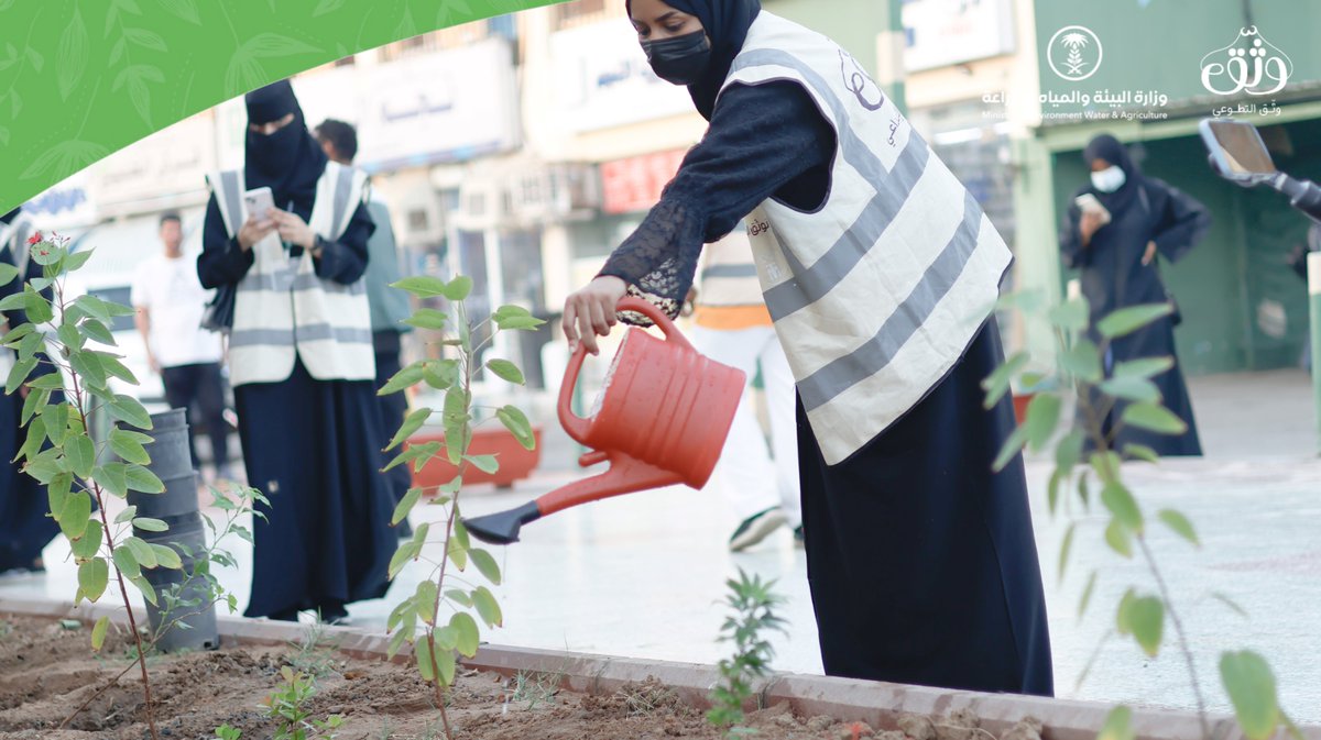 وثّـق التطوعي | Watheq Team tweet media