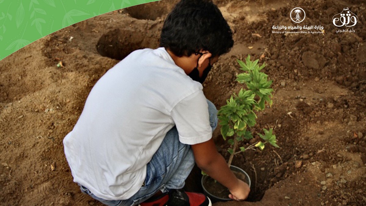 وثّـق التطوعي | Watheq Team tweet media