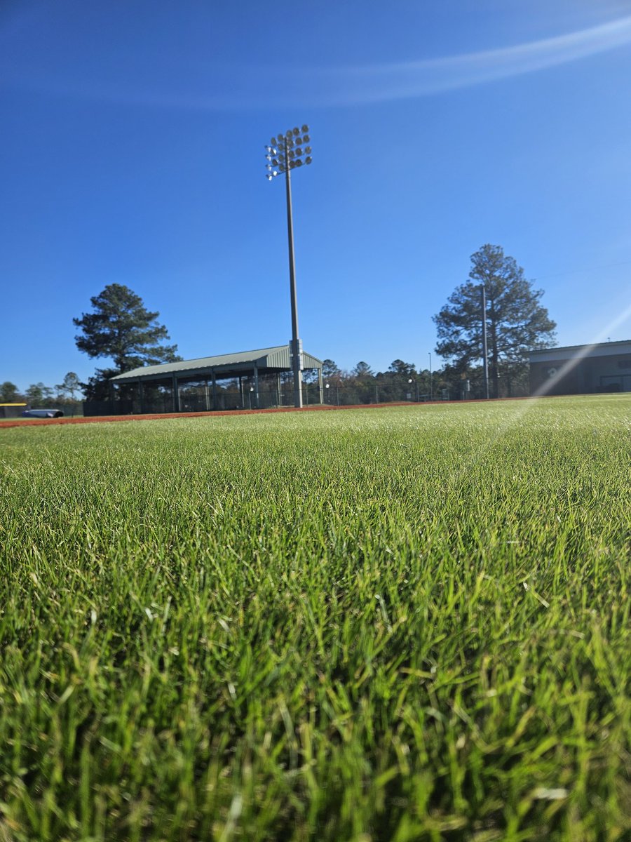 Up close with the rye grass. #stuckeyfield <a href="/M_G_Baseball/">Middle GA Baseball</a>