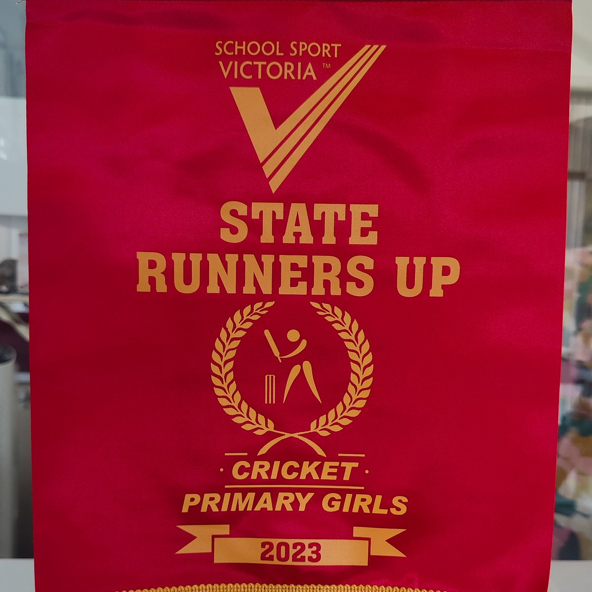 DMCCPanthers's tweet image. A big congratulations to the Devon Meadows Primary School Girls Cricket team who recently finished runners up in the State!

We're delighted to welcome a number of the girls to the club to continue their summer of cricket!

@StarNews_SE @cricketvictoria @CV_Sharks