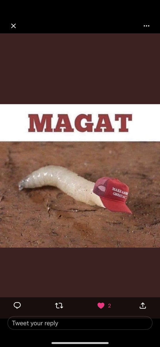 Another magat