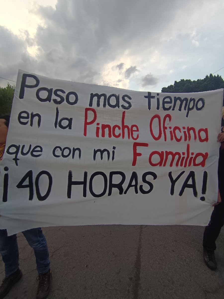 LiliVero tweet media