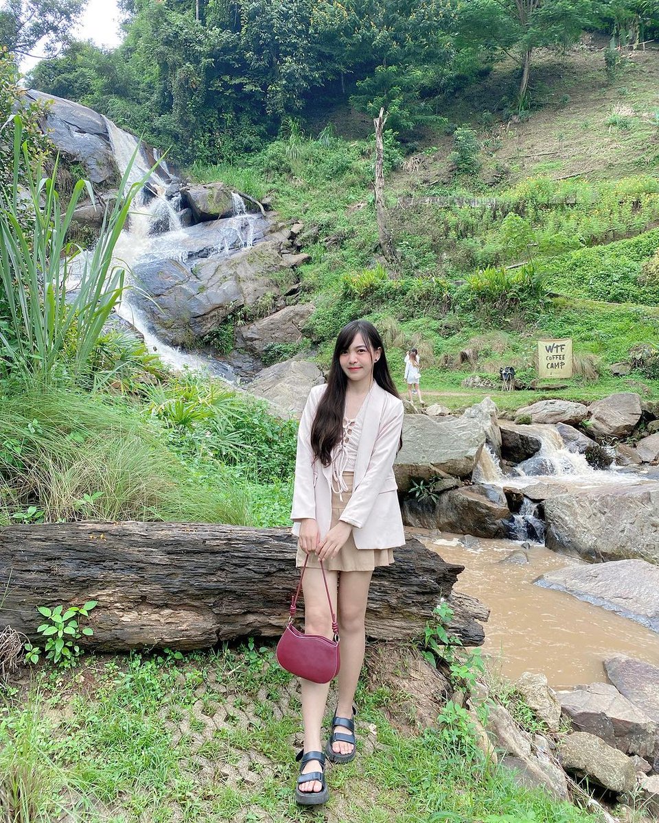 popcronyed's tweet photo. ☘️🌿 https://t.co/VhkpNcJ8Ci