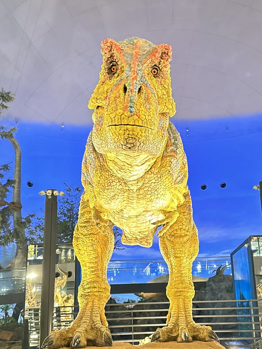 開館10周年に設置した、動くティラノサウルスロボット🦖 大きな頭骨に