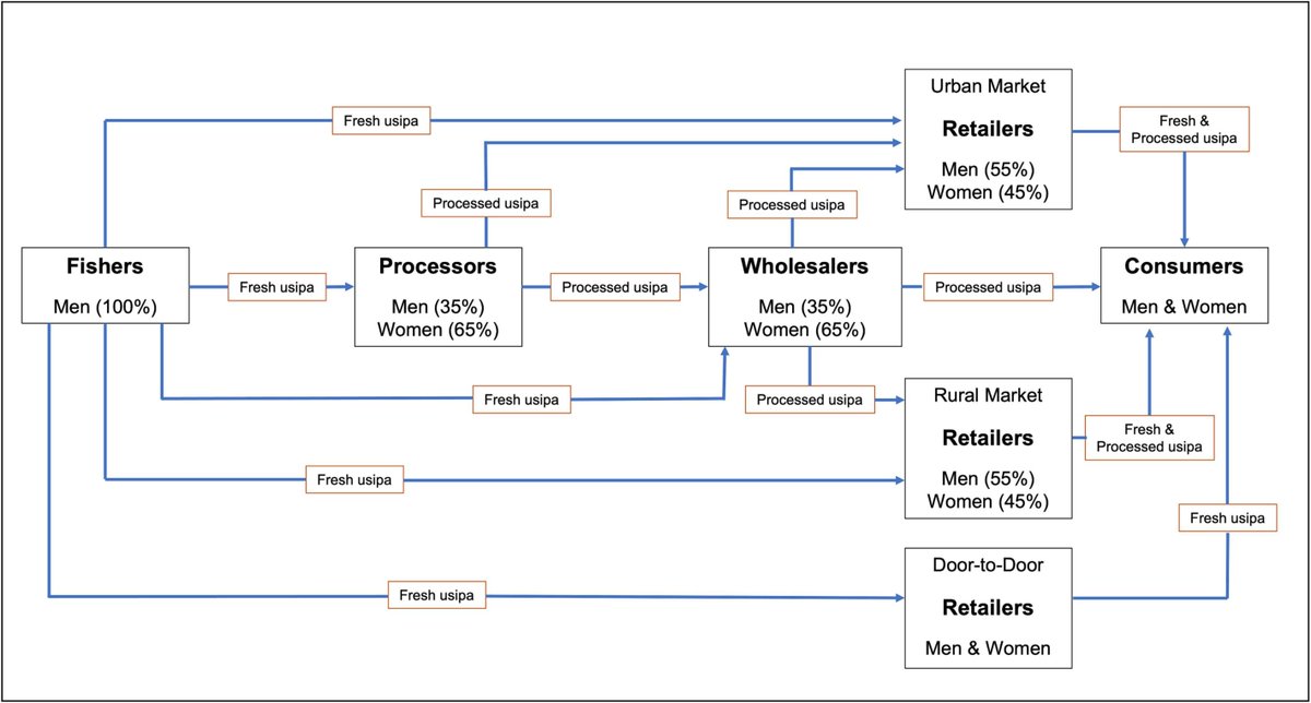 New publication: "Investigating the inclusiveness of the usipa value chain in Malawi" by Park Muhonda and colleagues  sciencedirect.com/science/articl…