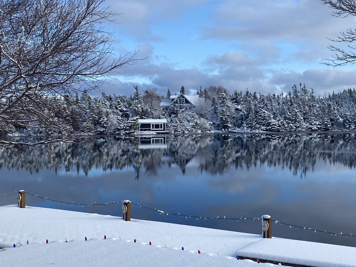 MercerMeesh's tweet image. St Philips, NL @EddieSheerr