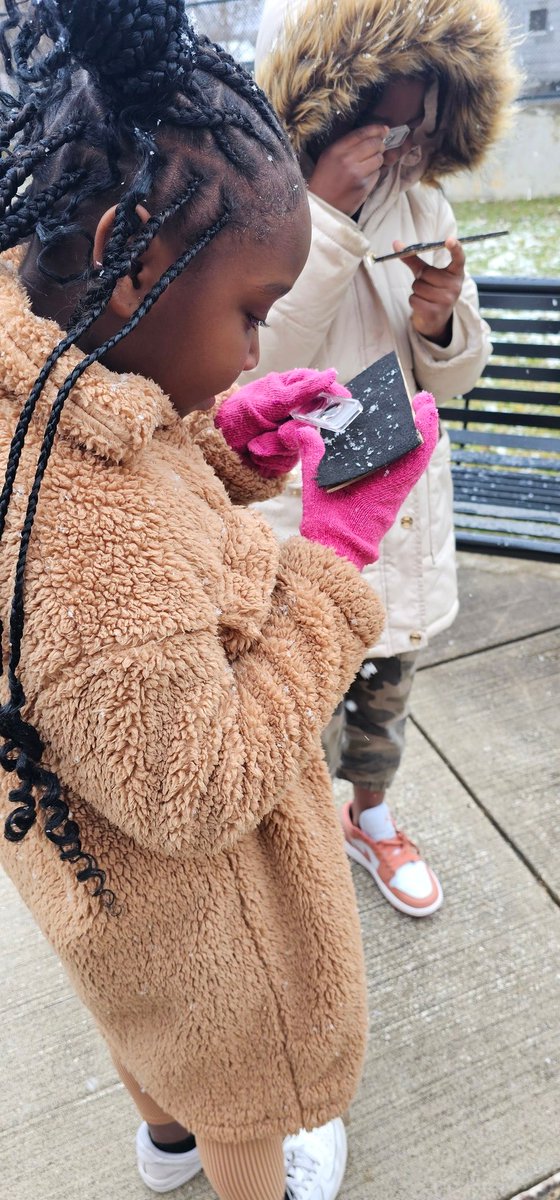 Dr. Weeks 2nd Grade tweet media