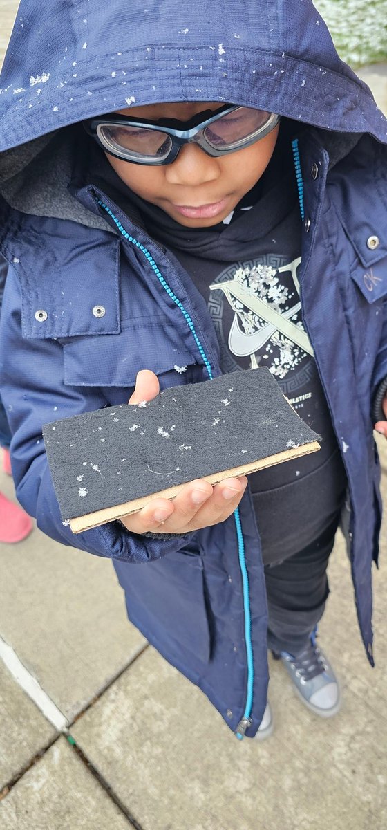 Dr. Weeks 2nd Grade tweet media