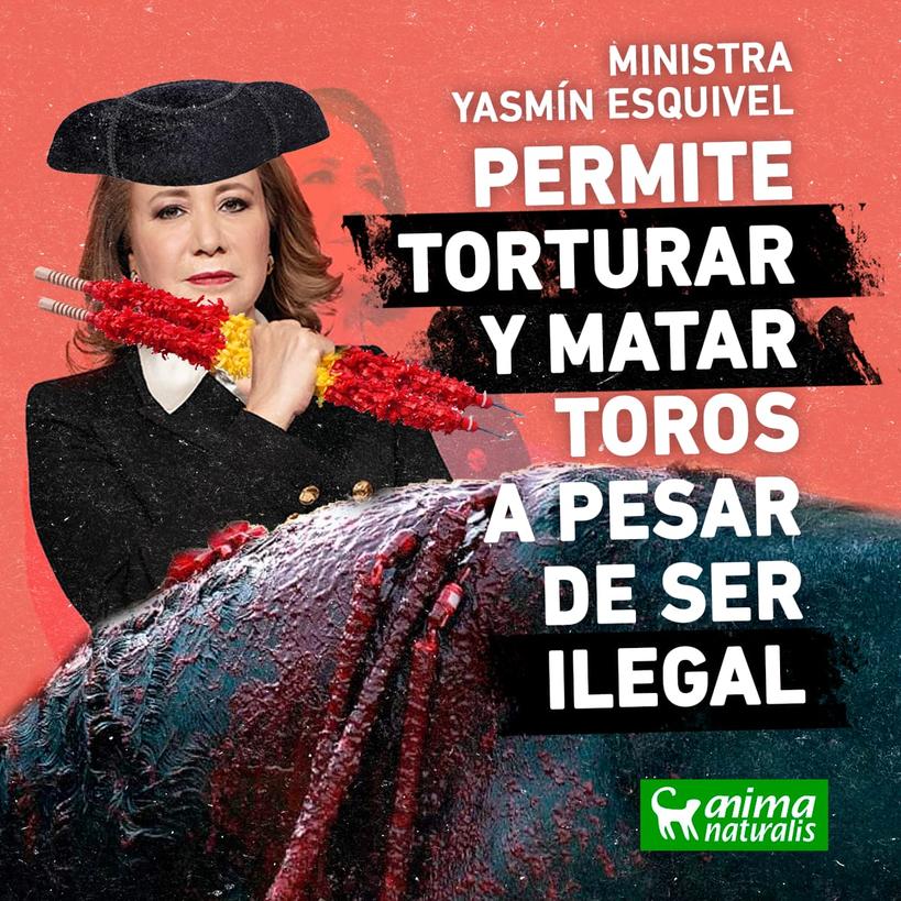 Pues <a href="/YasminEsquivel_/">Yasmín Esquivel Mossa</a> en la <a href="/SCJN/">Suprema Corte</a> demostró su perfil sádico y en complacer a un grupo empresarial de élite!

Insistimos y queremos una 
#SCJNSinToros 
#AbrazosNoCorridas