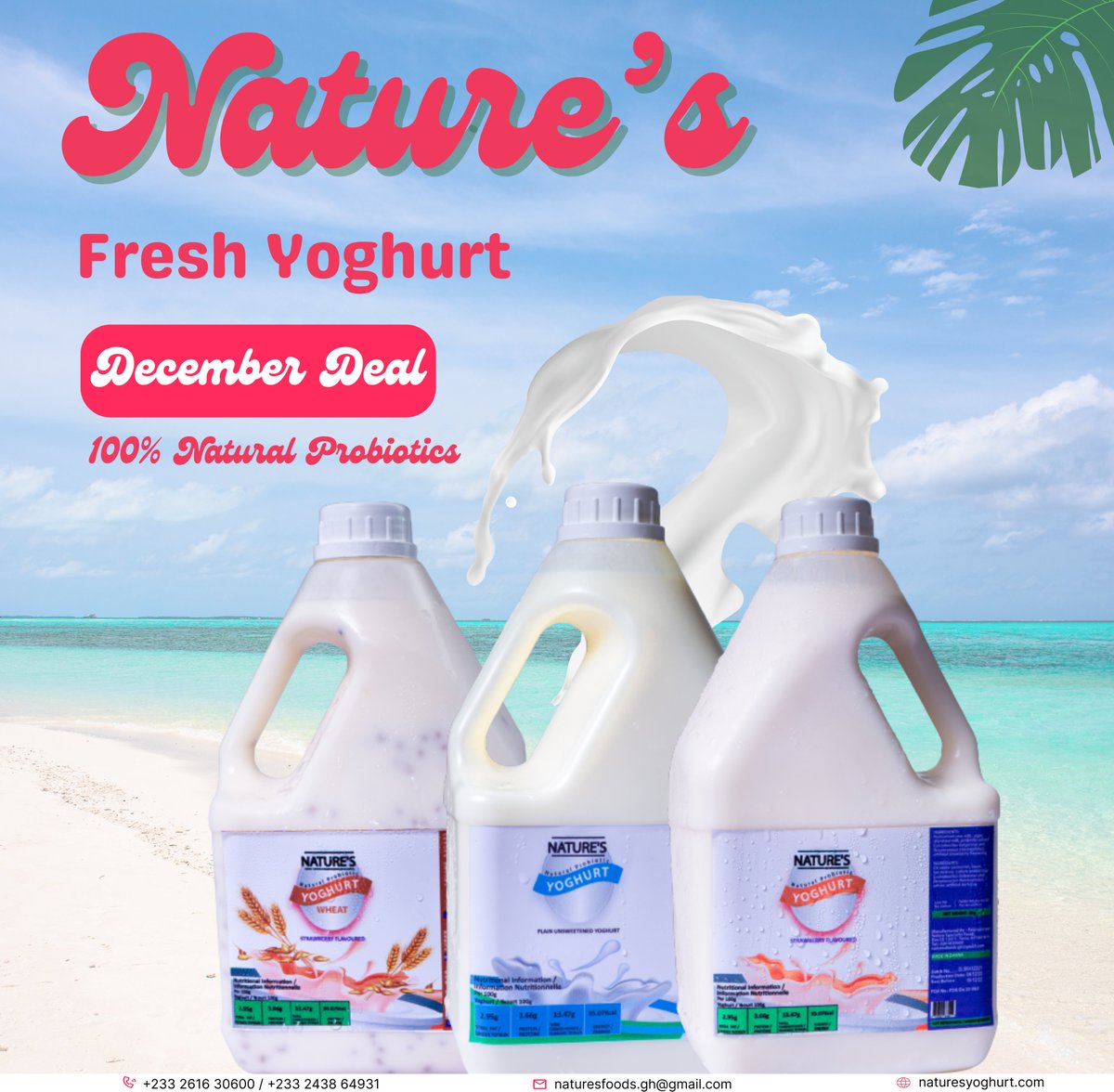 YoghurtNature's tweet photo. If you haven't experienced Nature's delights before, now's the perfect time to treat yourself. Don't miss out on this incredible deal! 💚🥄
#NaturesYoghurt
#December2023
#Christmas🎄
#boostimmunesystem
#probiotics
#YoghurtBNK48 https://t.co/32IrAg3XlM
