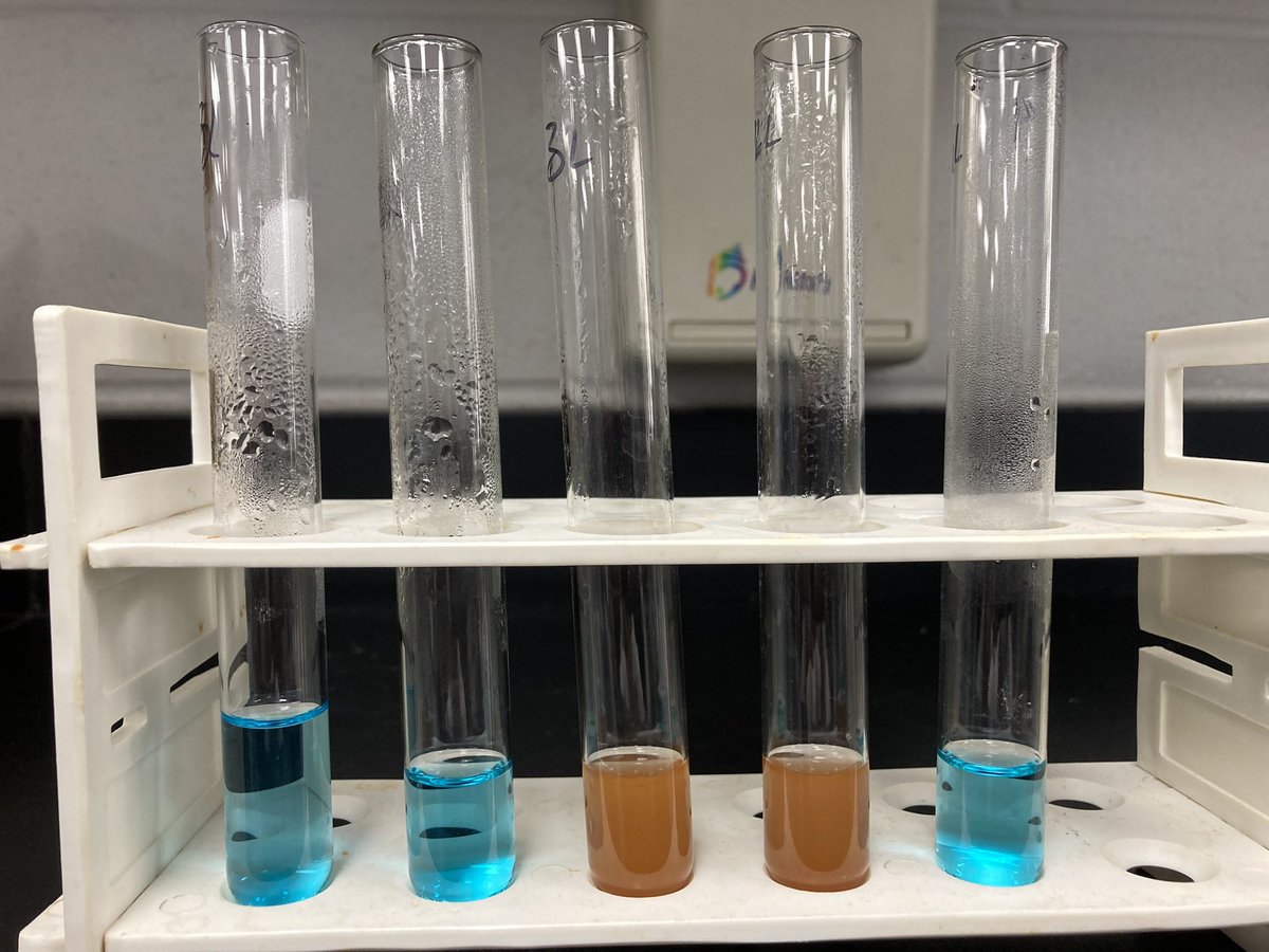 DC Bio students really rocked their Enzyme lab, testing pH, temp, &amp; enz conc. Their results were beautiful and brought a tear of joy to my eye! So proud of them!