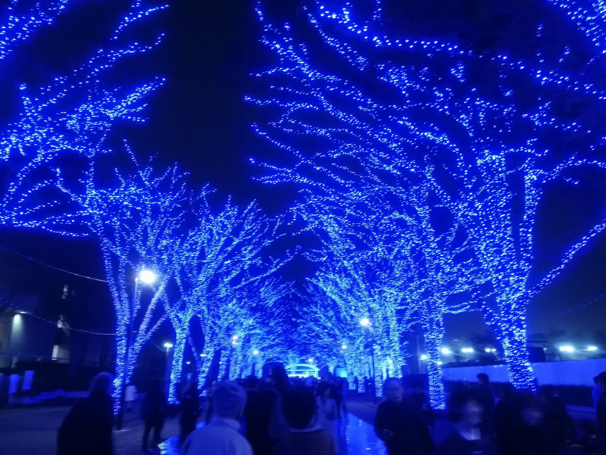 yatsu1111's tweet photo. 📢Googleが教えた 📸#過去pic の #今日フォト(12月7日夜)から。
🍁#青の洞窟 #青の洞窟shibuya
#青の洞窟イルミネーション
#イルミネーション #ILLUMINATION
#Grotta_Azzurra #aodo
💐#TLを花で一杯にしよう https://t.co/IPMRx6kwri