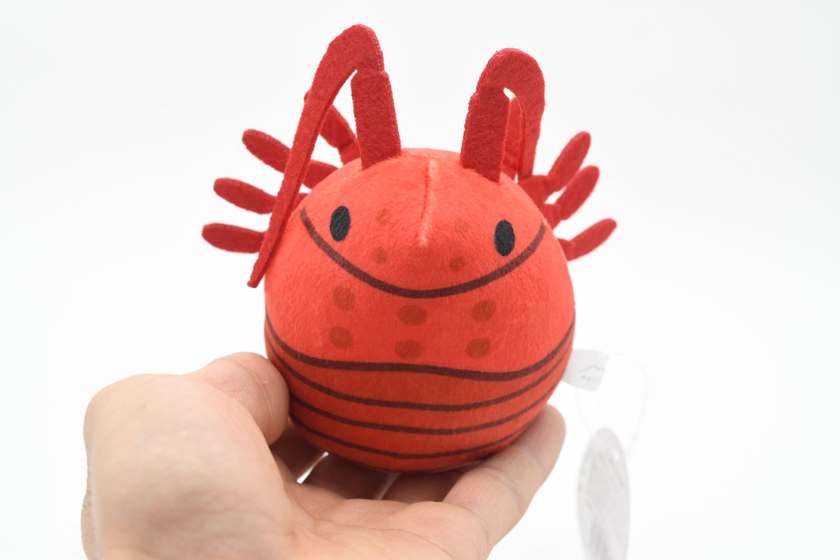 久しぶりに通販の商品を追加しました！
『『『　在庫限り　』』』
イセエビのおきあがりこぼしぬいぐるみ
友人・恋人・自分へのクリスマスプレゼントにいかがですか？

▽▽▽▽▽
ebikaniaquarium.stores.jp/items/65711918…