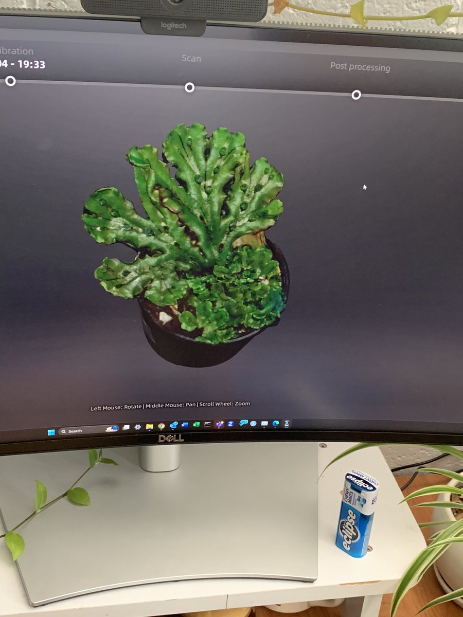 Jazmine Humphreys (@jazhumphreys) on Twitter photo Finally put our first plant in the 3D scanner with Ben Halliwell and @BywaterCandice at UTas <a href="/FrannyBarbs/">Francois Barbier</a> and <a href="/loverworts/">Tom Fisher</a> we can even see the cups! <a href="/CoEPlantSuccess/">ARC Centre of Excellence for Plant Success</a> Finally put our first plant in the 3D scanner with Ben Halliwell and @BywaterCandice at UTas <a href="/FrannyBarbs/">Francois Barbier</a> and <a href="/loverworts/">Tom Fisher</a> we can even see the cups! <a href="/CoEPlantSuccess/">ARC Centre of Excellence for Plant Success</a>