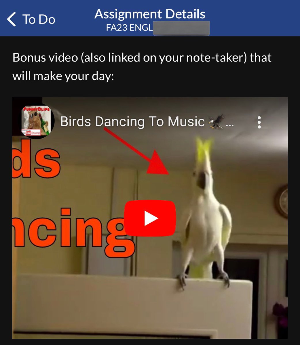 GAYLOSTBOYS's tweet image. high school: “college won’t tolerate this kind of behavior”
college: