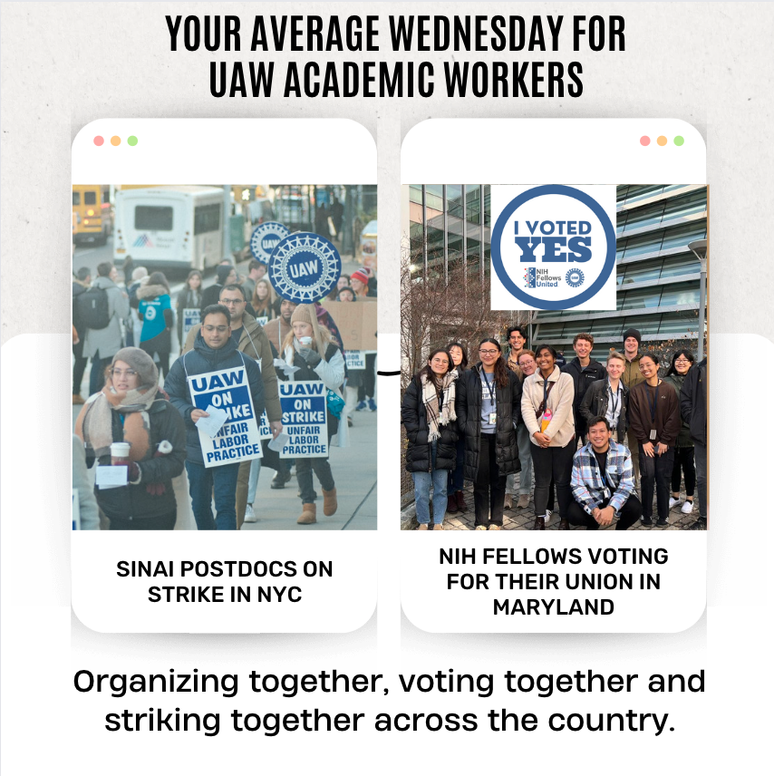 UAW's tweet photo. Your average Wednesday for academic workers:
📌 Sinai Postdocs on strike in NYC
📌 NIH fellows voting for their union in Maryland

Organizing together, voting together, and striking together across the country.

#StandUpUAW #SolidaritySeason #1u #UAW https://t.co/VNfClwXZuS