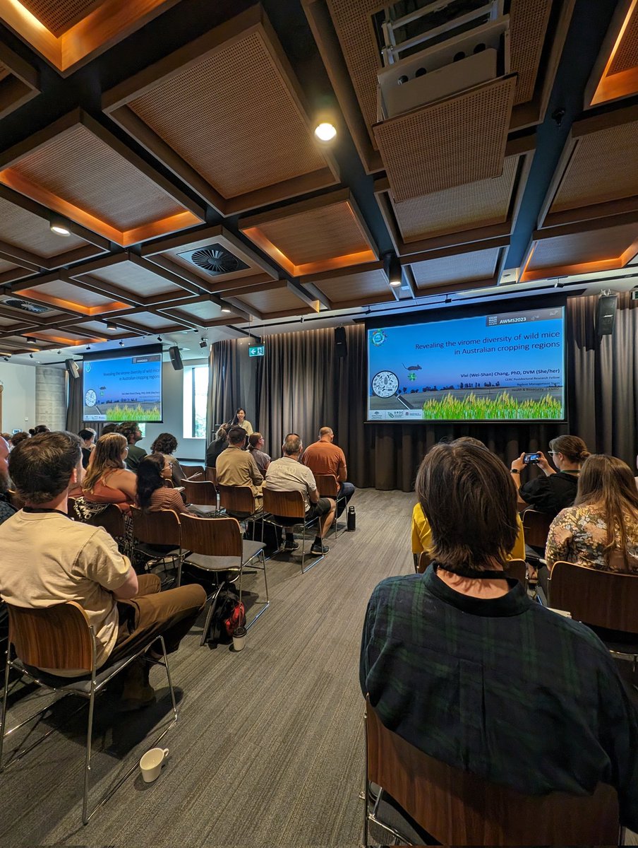 Wonderful presentation by <a href="/ChangvvVivi/">Wei-Shan (Vivi) Chang</a> 😁 about on work to identify the #virome of field mice 🐭 in #Australia and how it compares to the viromes of mice from different environments (lab settings etc). Expect more fantastic #data to come! 
<a href="/AWMSociety/">AWMS</a> 
#awms