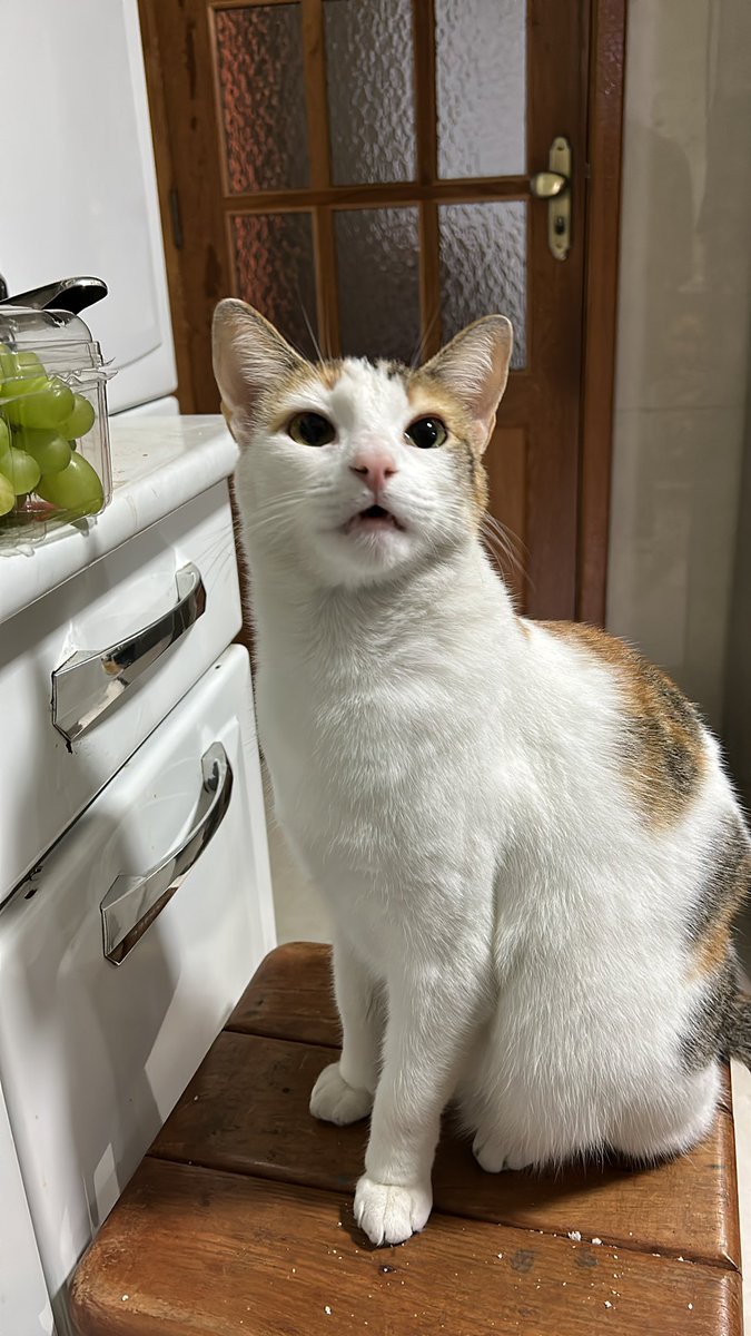 BragaDbs's tweet photo. Pra sempre no meu coração, minha princesa. Meus dias vão ser mais escuros sem você comigo 

Minha Aurora 🖤 https://t.co/NJ8wkoqNH0