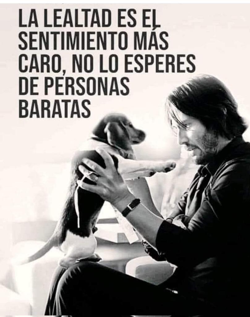 vibracosmos's tweet photo. SABÍA  REFLEXIÓN... https://t.co/104lEeIlIy