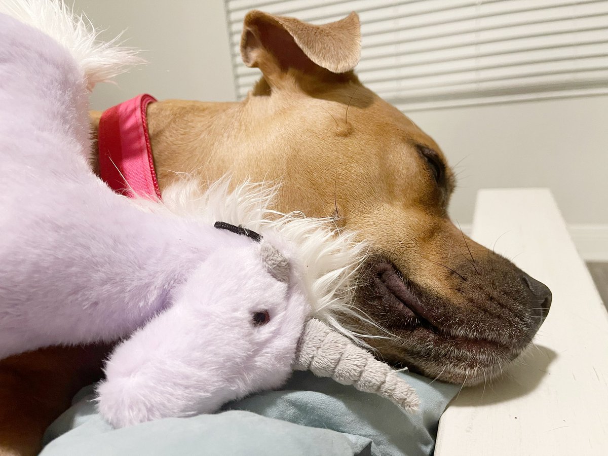 twotrees's tweet image. Scout selected her unicorn tonight. She did it for all of us, I think.