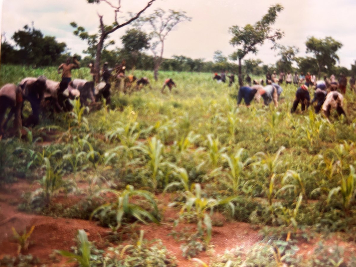 1988- Partnership Africa Canada (the aid arm of the Government of Canada that preceded CIDA) approved a grant for the commencement of The Janga Project and additional grants over the next decade for activities to be scaled up. #impact #40yearsofimpact #partnership