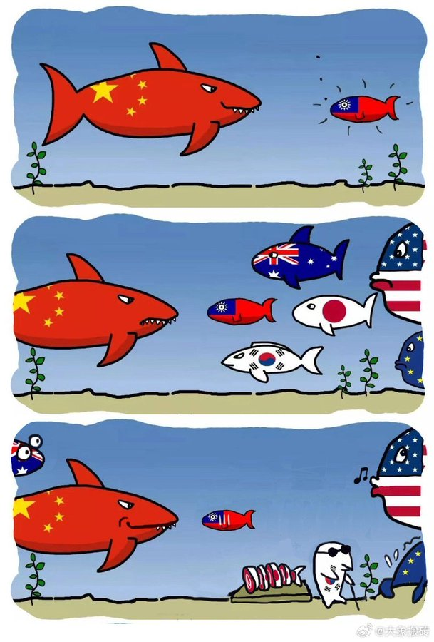thinking_panda's tweet photo. I saw a Taiwanese guy post the first two cartoons of this set; in fact, there are three in total.🤣 https://t.co/e5fOqKNioe