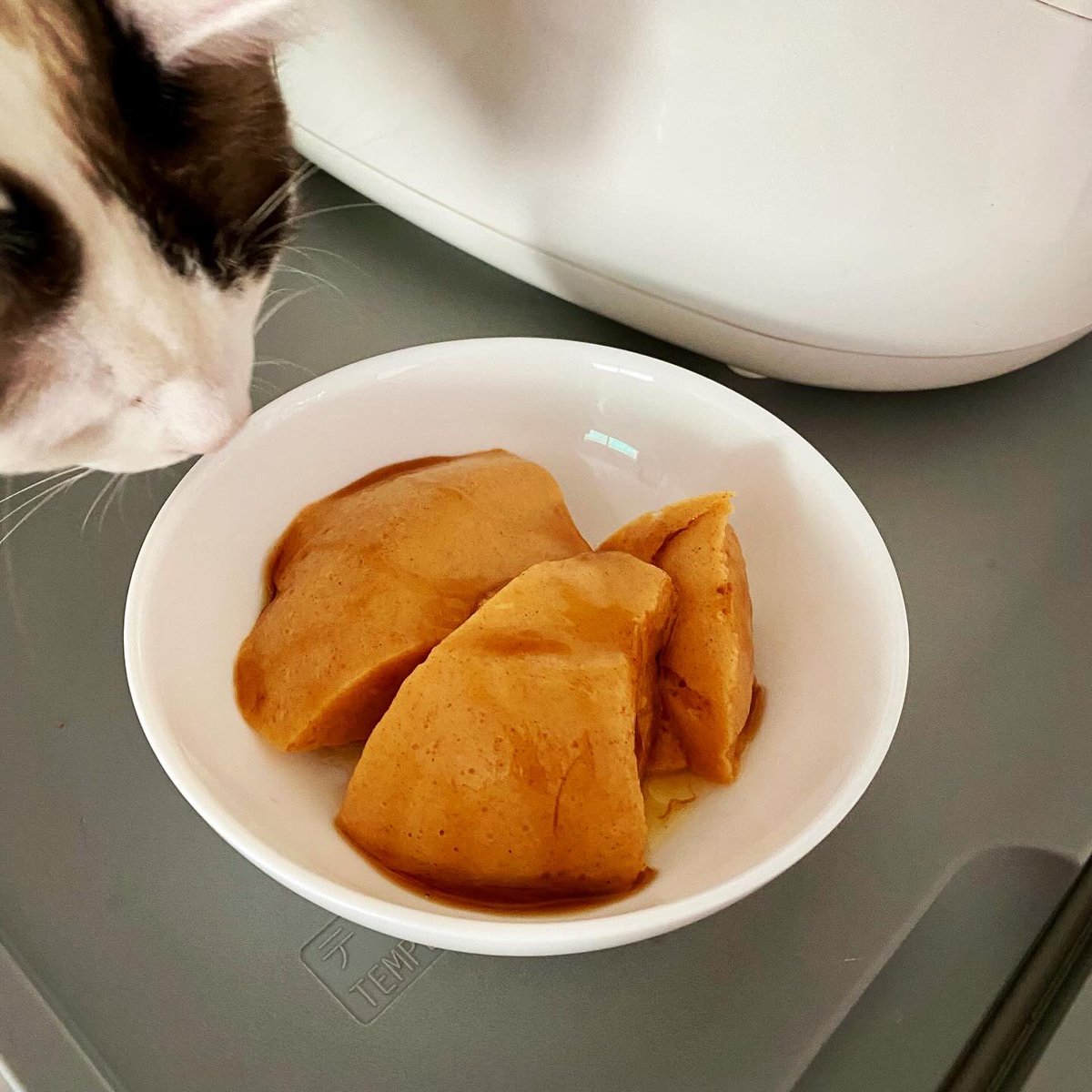 alice2501's tweet photo. 食べ切れない頂き物の柿がだいぶ熟してきたのでプリンを作りました。ミルクと一緒にミキサーで撹拌すると、柿に含まれるペクチンとミルクのカルシウムが結合してゲル化作用が起きます。冷蔵庫で一晩寝かせるだけで完成です。黒蜜をかけておあがりよ🍮😋 https://t.co/lbTQRxdM1H