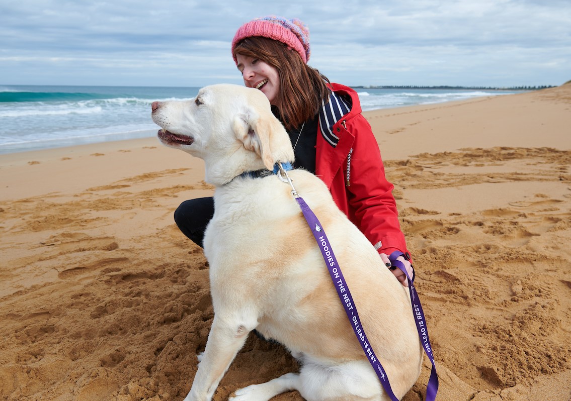 Hoodies on nest, on-lead is best!

Dogs are a big risk to hooded plovers nesting on shorelines.

If you’re taking your pooch to the beach, obey all local dog rules and keep dogs under control near birds.

Penalties apply.

Report wildlife crime to <a href="/CrimeStopperVic/">Crime Stoppers Vic</a> on 1800 333 000