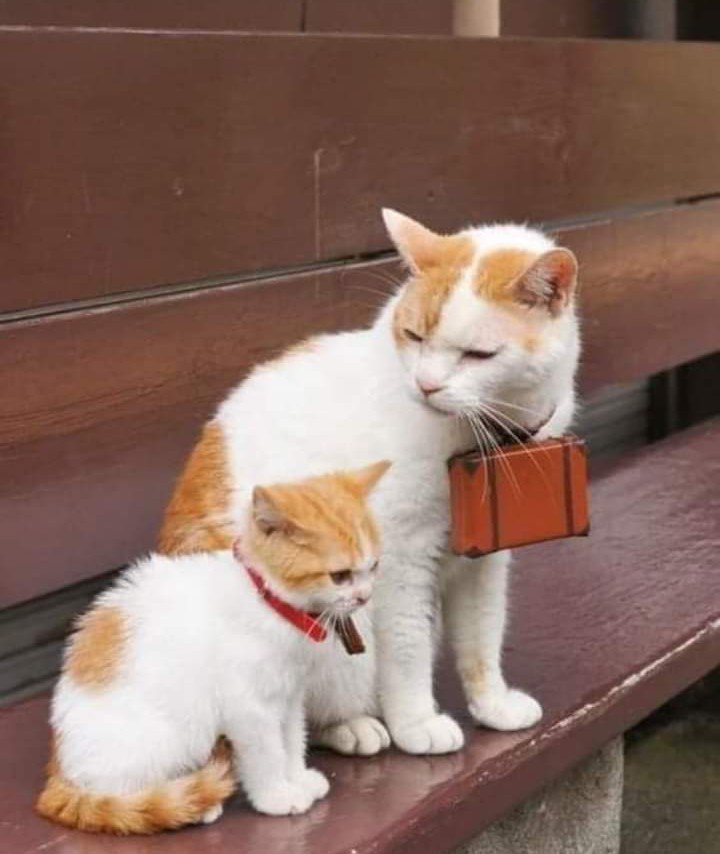 GAtba7YWcAAIHFH