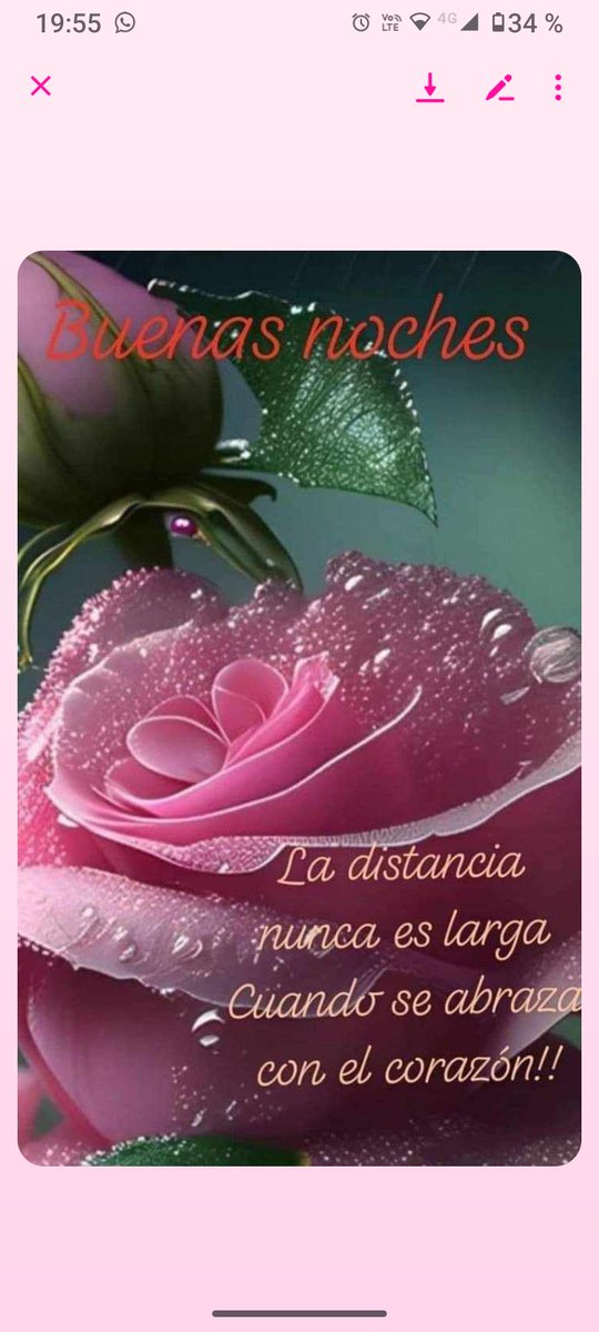 Excelente noche