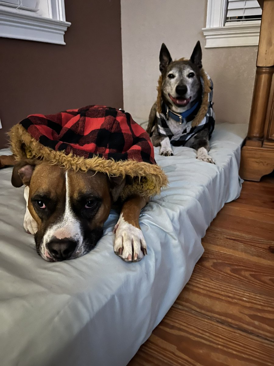 MonicaWimberly's tweet photo. #babyitscoldoutside lol https://t.co/QamVjRc04K