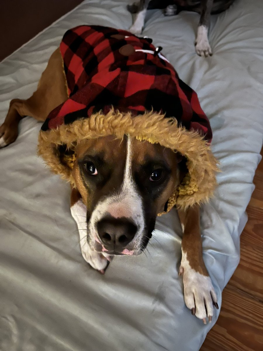 MonicaWimberly's tweet photo. #babyitscoldoutside lol https://t.co/QamVjRc04K