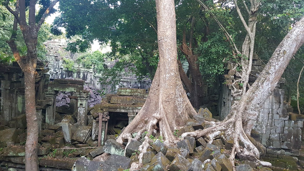 KhmerJourneys's tweet photo. Prasat Beng Mealea, a temple which remainding the beautiful sense of nature and sand stone!

#bengmealeatemple #khmerdestination #khmerartwork #culturalexperience #historical https://t.co/xJOwweJLQ1