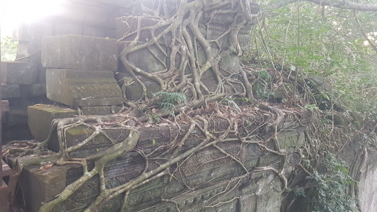 Prasat Beng Mealea, a temple which remainding the beautiful sense of nature and sand stone!

#bengmealeatemple #khmerdestination #khmerartwork #culturalexperience #historical