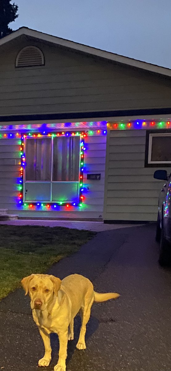 badpuce's tweet photo. #ItsBeginningToLookALotLike Christmastime https://t.co/PUchD2PyXk