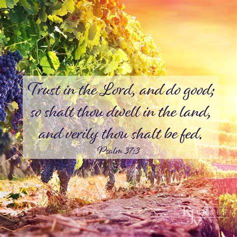 Greg Owoc (@gregowoc) on Twitter photo 