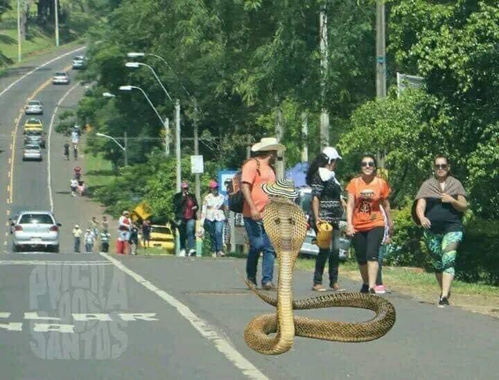 tomatazosTV's tweet photo. Mi vecina camino a Caacupe 😅 https://t.co/5QnYj26aoT