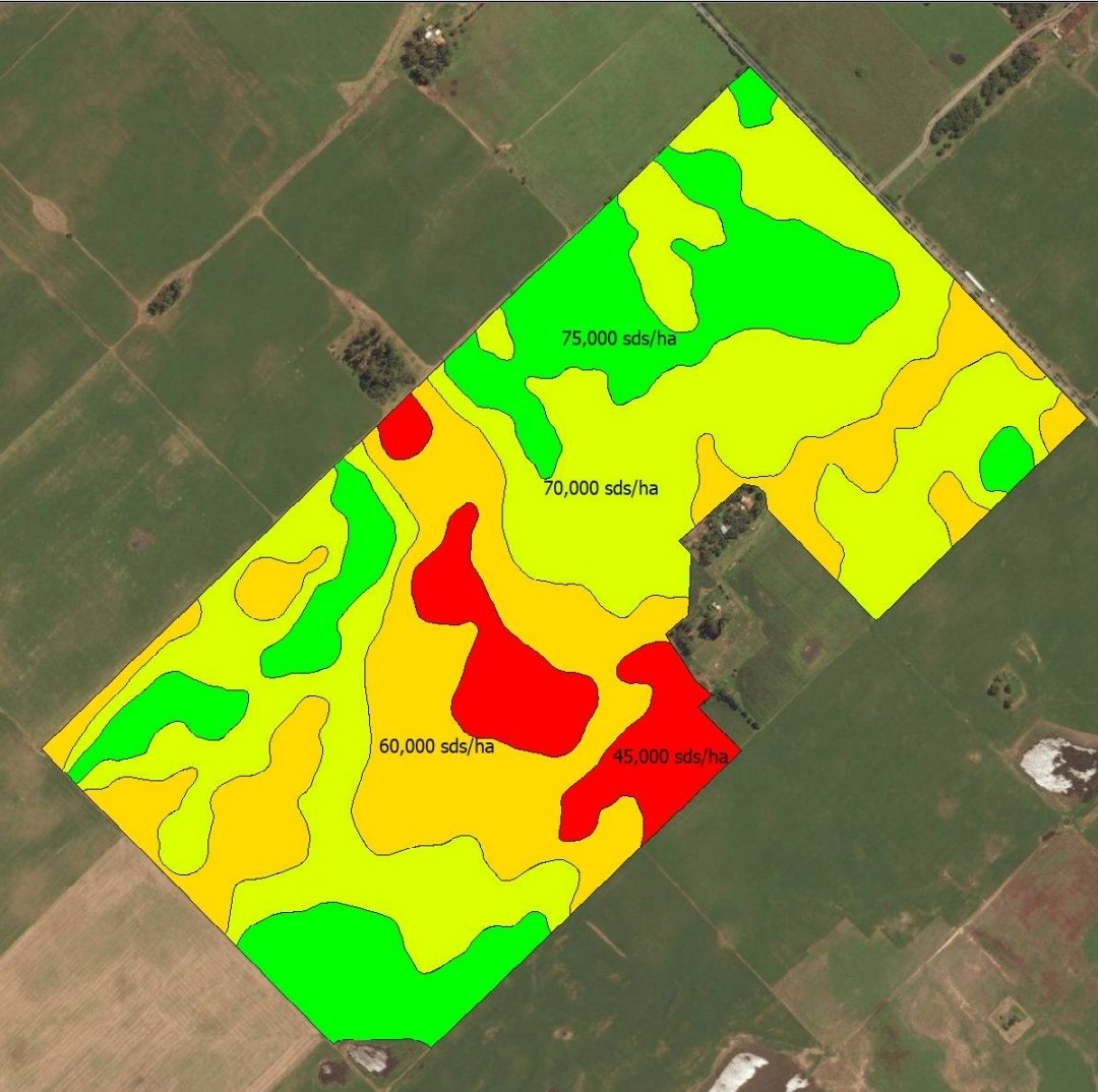 <a href="/DekalbArgentina/">DEKALB Argentina</a> 
<a href="/AgroBayerAR/">Agro Bayer</a> 
<a href="/ElPayeSA/">El Payé - Insumos y Servicios S.A.</a> 
<a href="/PPlantingARG/">Precision Planting Argentina</a> 
<a href="/PotenciarAP/">Potenciar AP</a>
Densidad, fósforo y nitrógeno variable.
Veremos si le gusta la libertad al maíz.........