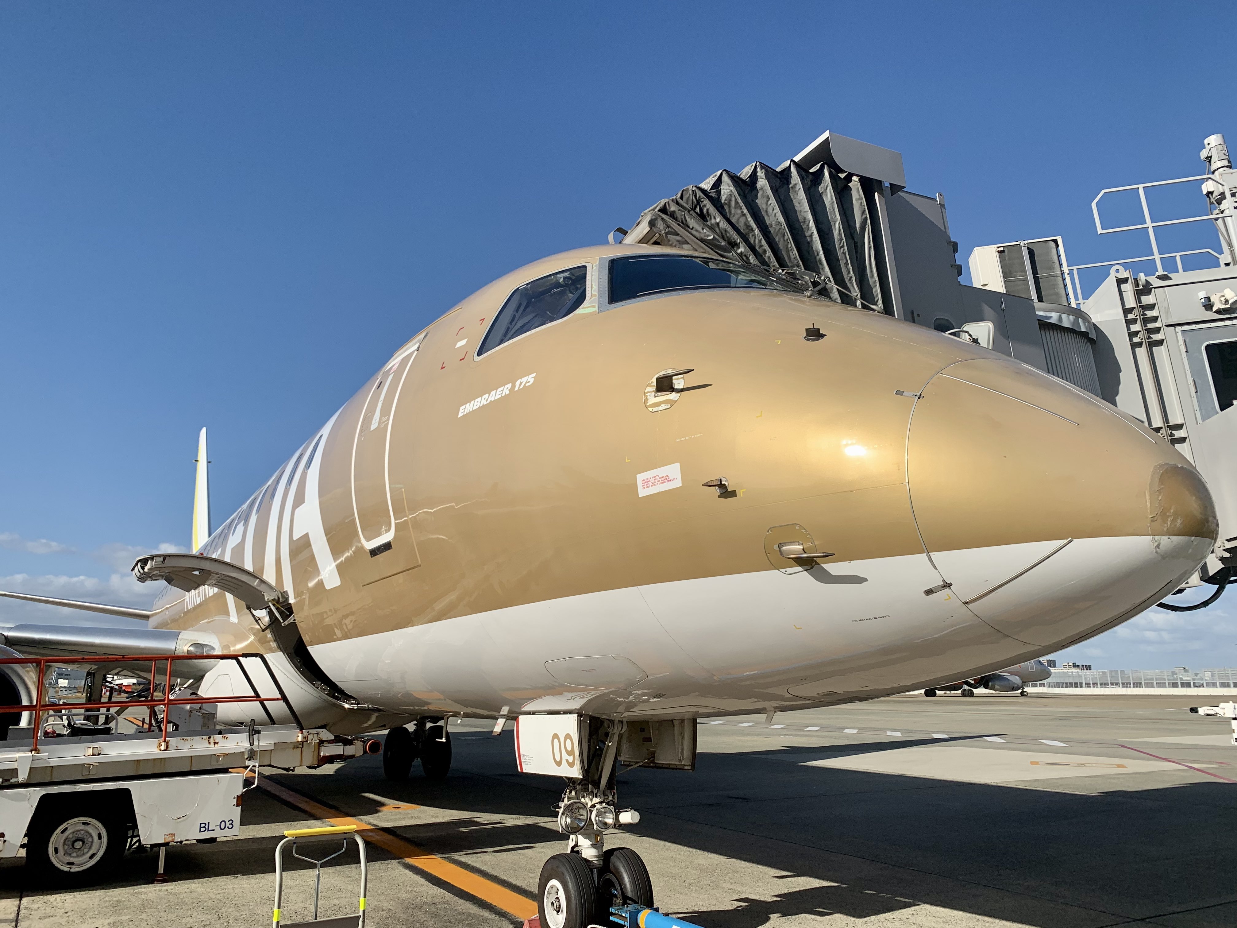 FDA ERJ-175 JA09FJ Gold （フジドリームエアラインズ 世界の