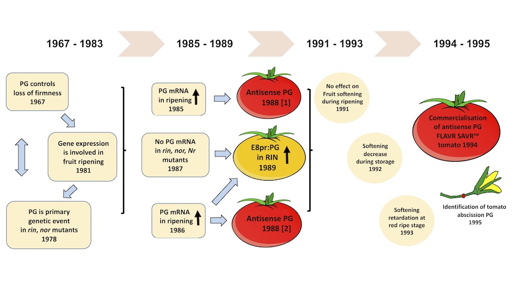 Geitmann Lab (@geitmannlab) on Twitter photo Chapter 7 by <a href="/panos_kalaitzis/">Panos Kalaitzis</a>, Eleni Giannoutsou, Anna Konkina: Role of the cell wall in the regulation of fruit ripening
<a href="/CIHEAM_MAICh/">CIHEAM Chania</a> Chapter 7 by <a href="/panos_kalaitzis/">Panos Kalaitzis</a>, Eleni Giannoutsou, Anna Konkina: Role of the cell wall in the regulation of fruit ripening
<a href="/CIHEAM_MAICh/">CIHEAM Chania</a>